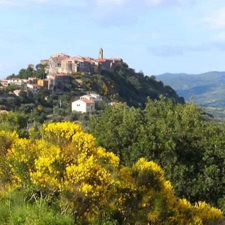 42 Di Relax In Maremma - Wifi - Free Parking Castel del Piano (Tuscany)