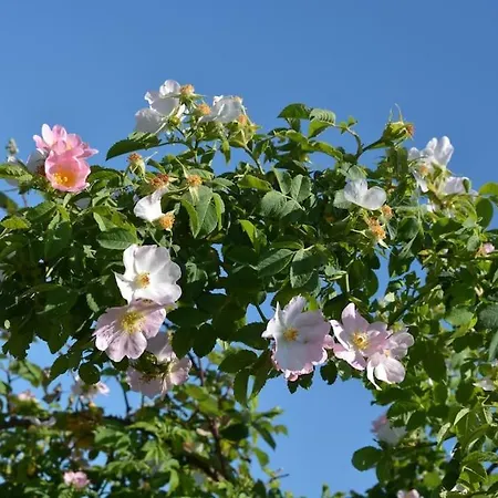 Apartment 42 Di Relax In Maremma - Wifi - Free Parking