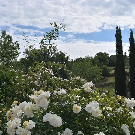 Apartment 42 Di Relax In Maremma - Wifi - Free Parking