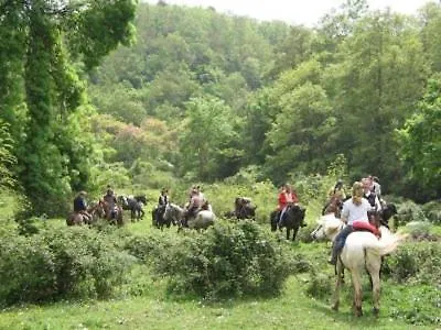 Appartamento Delizioso Monolocale Sulle Colline Toscane *